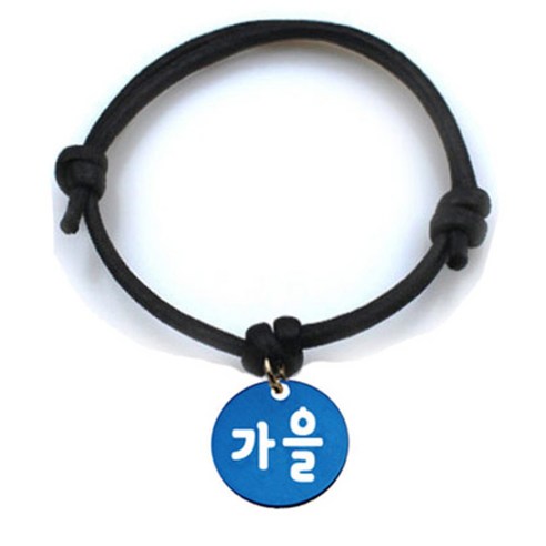 펫츠룩 굿모닝 블랙 반려동물 목걸이 M + 알미늄원형 팬던트 M, 블루(가을), 1개