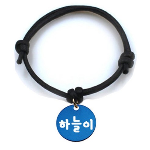 펫츠룩 굿모닝 블랙 반려동물 목걸이 M + 알미늄원형 팬던트 M, 블루(하늘이), 1개