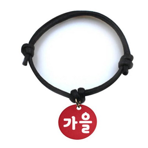 펫츠룩 굿모닝 블랙 반려동물 목걸이 M + 알미늄 원형 팬던트 S, 레드(가을), 1개