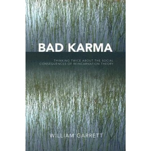 Bad Karma: Thinking Twice about the Social Consequences of Reincarnation Theory Paperback, University Press of America