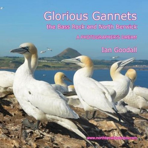 Glorious Gannets the Bass Rock and North Berwick: A Photographer''s Dream Paperback, Createspace Independent Publishing Platform
