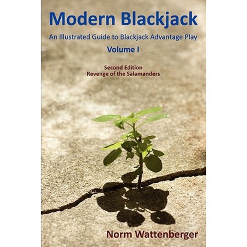 Modern Blackjack Second Edition Volume I Paperback, Lulu.com