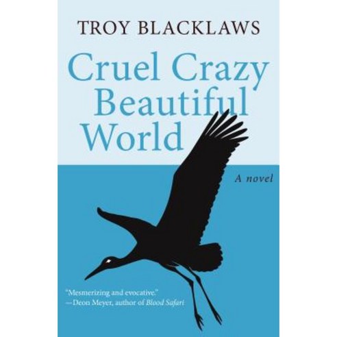 Cruel Crazy Beautiful World Paperback, Open Road Media