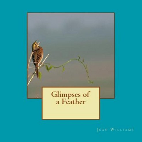 Glimpses of a Feather Paperback, Createspace Independent Publishing Platform