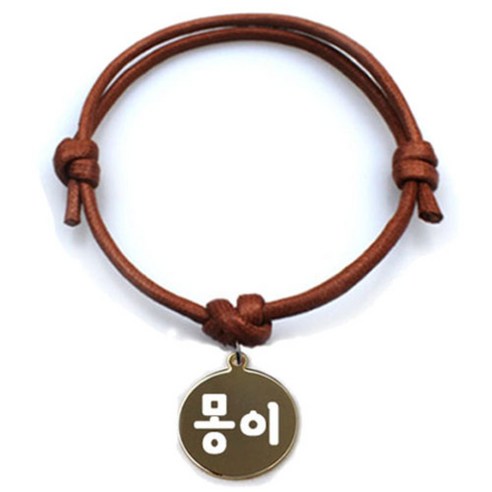 펫츠룩 굿모닝 카라멜 반려동물 목걸이 M + 메탈원형 팬던트 S, 골드(몽이), 1개