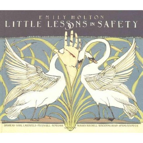 Little Lessons in Safety Paperback, Conundrum Press
