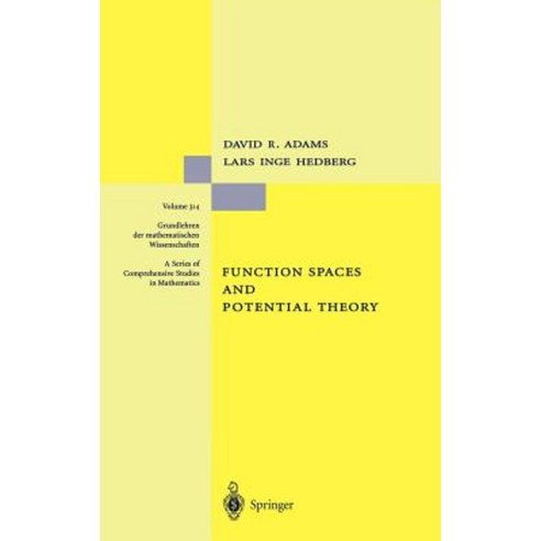Function Spaces and Potential Theory Hardcover, Springer