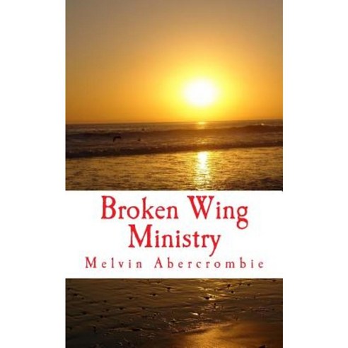 Broken Wing Ministry: The Real Jesus Christ Paperback, Createspace Independent Publishing Platform