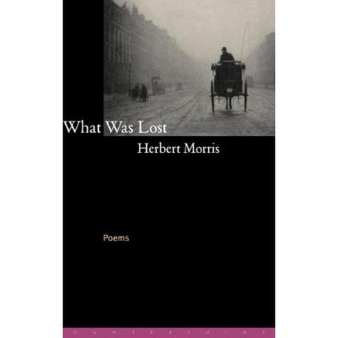 The What Was Lost: A Necessary Fiction Hardcover, Counterpoint LLC
