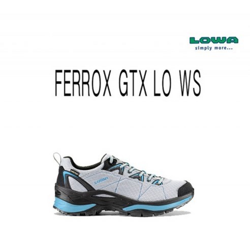 로바 페록스 GTX LO WS