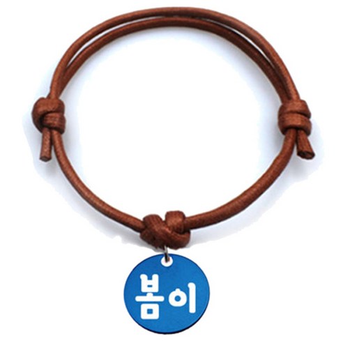 펫츠룩 굿모닝 카라멜 반려동물 목걸이 M + 알미늄원형 팬던트 S, 블루(봄이), 1개
