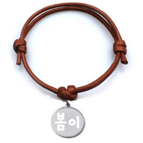 펫츠룩 굿모닝 카라멜 반려동물 목걸이 M + 메탈원형 팬던트 S, 실버(봄이), 1개