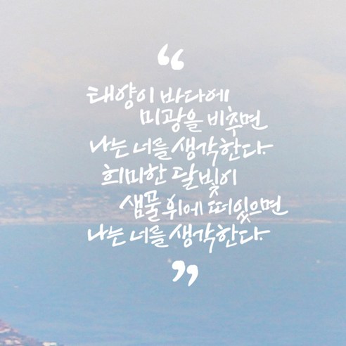 디자인엠 태양이 바다에 캘리그라피 스티커, 화이트
