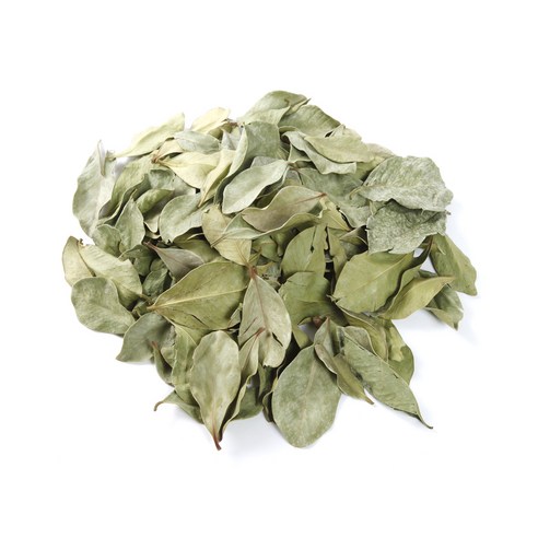 갑당약초 구아바잎, 100g, 1개