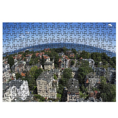 다모아 시험관 직소퍼즐 폴란드파노라마, 234피스, 혼합 색상
