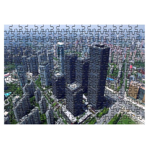 다모아 시험관 직소퍼즐, 234피스, 상해루자주이