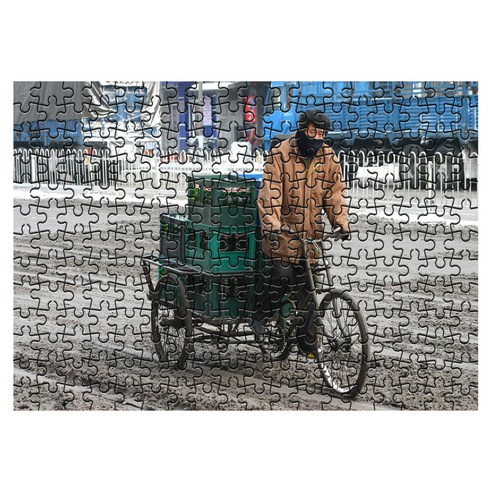 다모아 시험관 직소퍼즐, 234피스, 하얼빈의인력거꾼