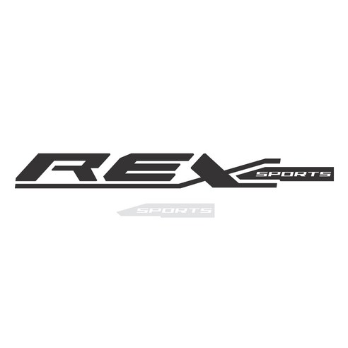 그리븐 렉스턴스포츠 닉네임 REX 데칼 스티커 50cm, 다크그레이 + 브라이트그레이, 2개입