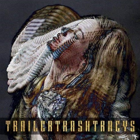 TRAILER TRASH TRACYS - ESTER 영국수입반, 1CD