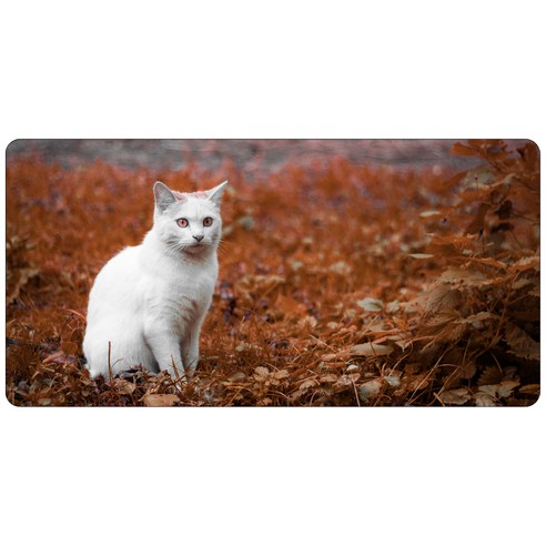 삼육오데이 포토 데스크매트, 단풍과고양이
