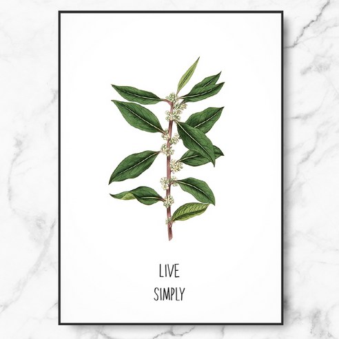 RYMD Live simple green 수지 액자, 블랙