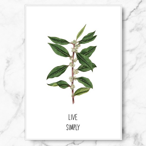 RYMD Live simple green 수지 액자, 화이트