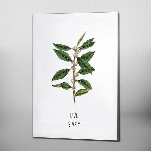 RYMD Live simple green 엣지 액자, 블랙