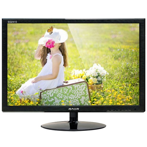 라온디스플레이 24형 IPS 모니터, SG2410 LED