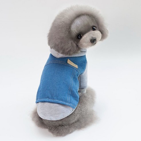 아이앤엘 강아지 패션 모자 후드 티셔츠, BLUE