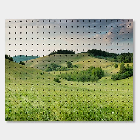앤비커머스 인테리어타공판 600 x 500 mm, 1개, 초원