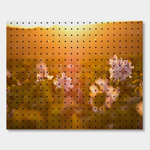 앤비커머스 인테리어 타공판 600 x 500 mm, 1세트, 황금시간