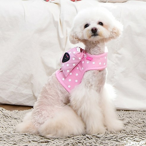 핑카홀릭 라나 하네스 J, 핑크