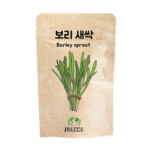 죠애나 보리 새싹 분말, 400g, 1개