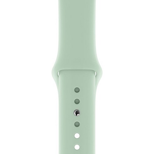 Apple 애플워치 스포츠 밴드 S/M + M/L 40mm, 베릴(MWUM2FE/A), 1개
