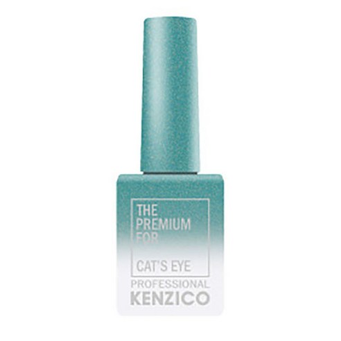 켄지코 캣츠아이 글리터젤 10g, CE-10, 1개