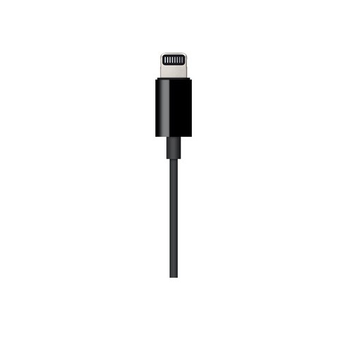 Apple 정품 Lightning to 3.5mm Audio Cable 1.2m, 블랙, 1개