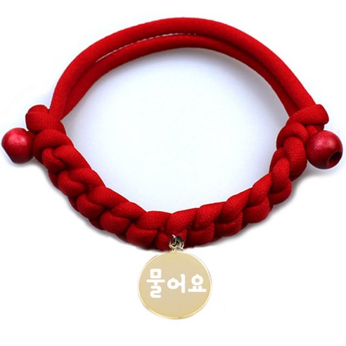 펫츠룩 데일리 목걸이 + 원형 펜던트 물어요, 목걸이(레드), 펜던트(골드)