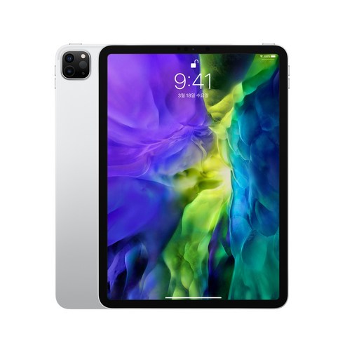 Apple 2020년 iPad Pro 11 2세대, Wi-Fi, 1TB, Silver