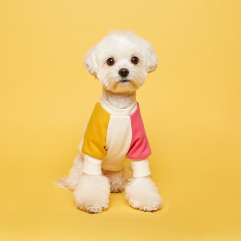 플로트 콤비 맨투맨 강아지옷, 옐로우핫핑크