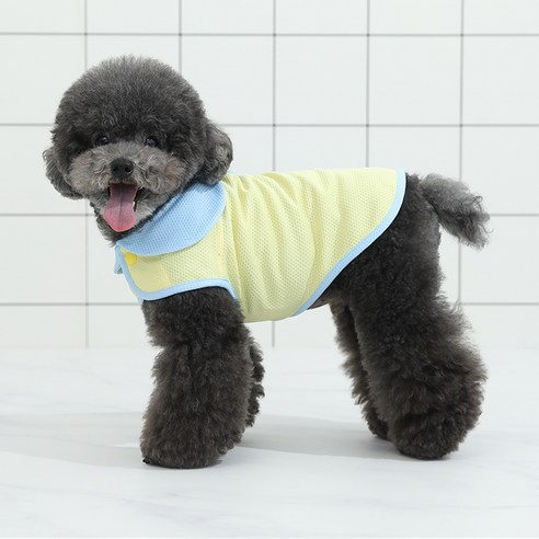 오드스튜디오 강아지 시원 쏘쿨 베스트, 옐로우