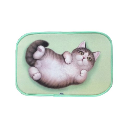 JH컴퍼니 3D 동물 그림 발매트, 너구리색고양이