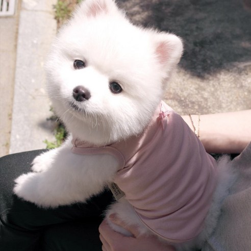 동동이네 사방스판 강아지 나시, 핑크