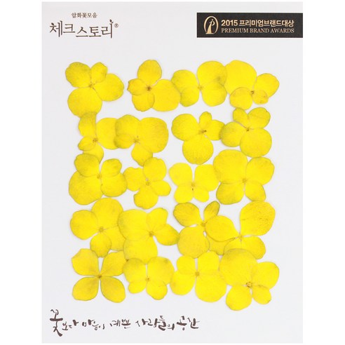체크스토리 압화꽃송이 수국염색, 옐로우