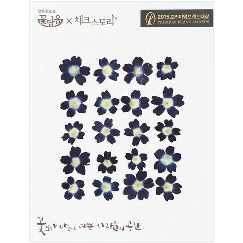 체크스토리 압화꽃송이 버베나, 네이비