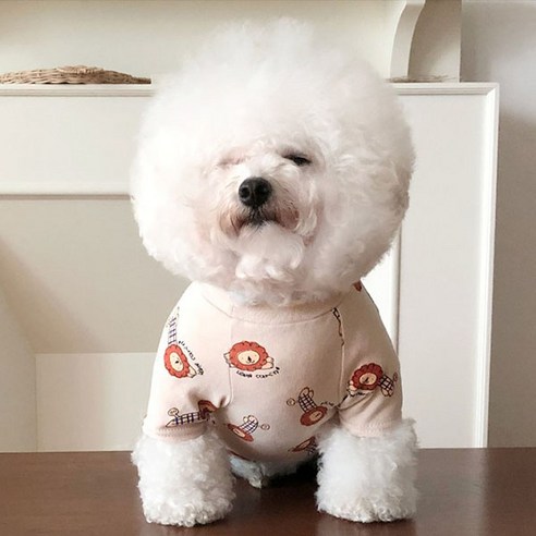 바이담수미 강아지 사자 올인원, 아이보리