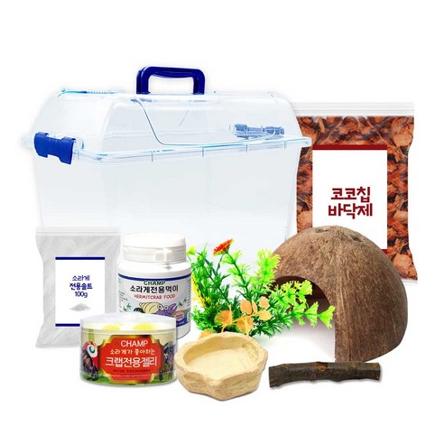 로라펫 코코칩 바닥재 챔프 젤리 소라게 키우기 세트, 혼합색상