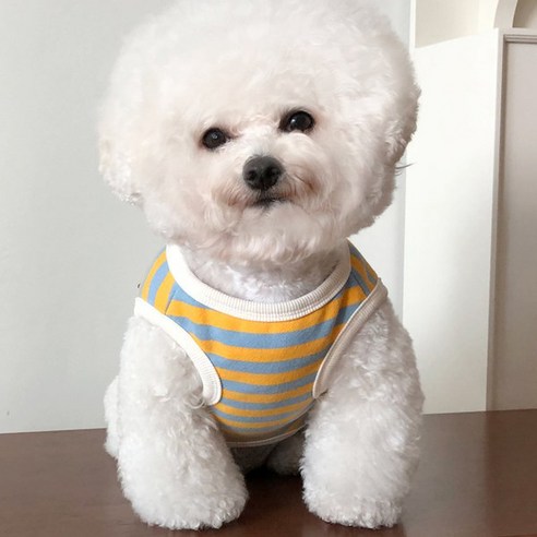 강아지 앙증기모 조끼, 옐로우