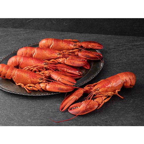 바다의 감칠맛을 진득하게 품은 자숙 랍스터로 즐기는 특별한 식사