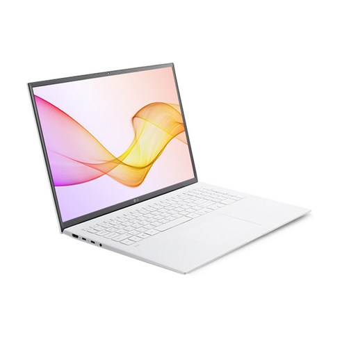 LG전자 2021 그램 17, 스노우 화이트, 코어i7 11세대, 1024GB, 8GB, Free DOS, 17ZD90P-GX70K