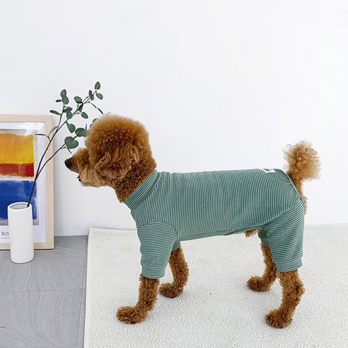 유앤펫 강아지 고양이 잔 스트라이프 폭닥 올인원, 그린